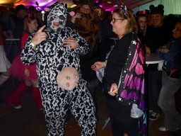 INSELKARNEVAL 2026 (kf)